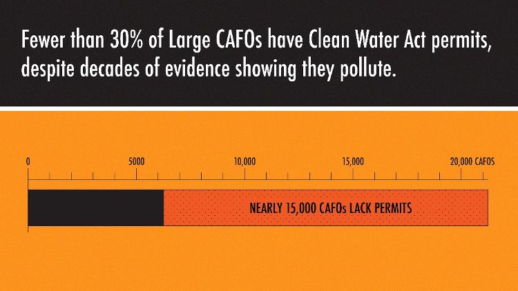 KariHamerschlag's tweet photo. Decades of evidence show industrial meat &amp; dairy operations—aka, Large #CAFOs—discharge #waterpollution. But fewer than 30% have permits required under federal law. @EPA must act to protect communities by making sure large CAFOs comply with the law. https://t.co/9PWb0eJNPc https://t.co/4yr6F6sDsP