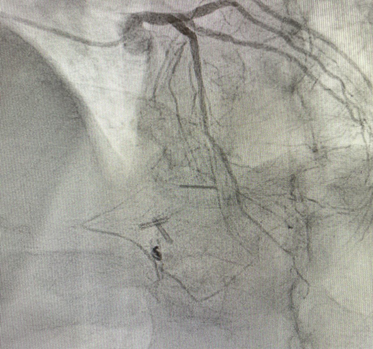 Alex Truesdell tweet media