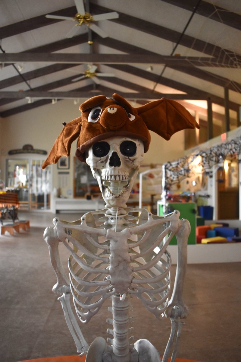 We have been working ourselves to the bone and are dying to see you for our Halloween Spooky Species Special this Saturday, October 29th! Doors open at 9:30am Last Admission 12:15pm
ccmnh.org/events/hallowe…