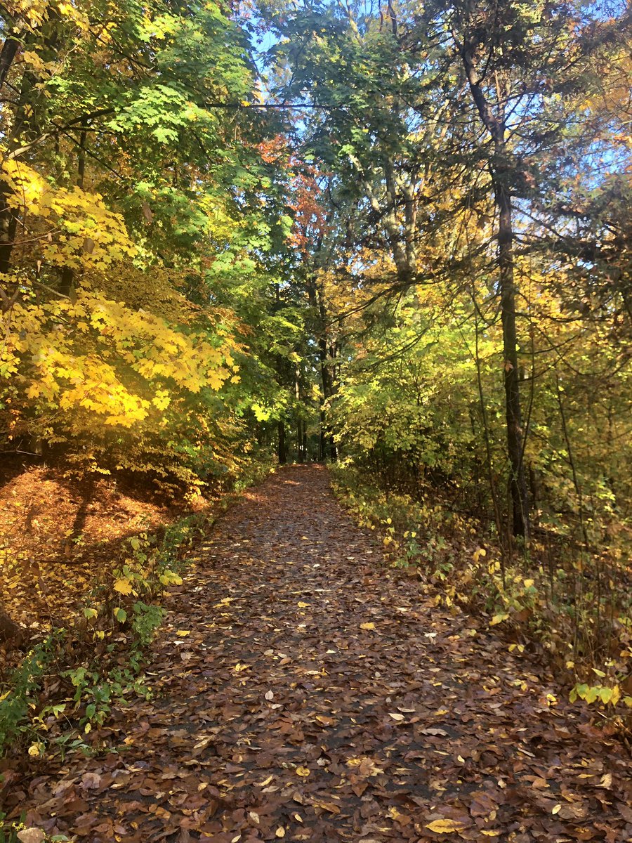 Emjay1028's tweet photo. #Fall colors in #Boston - get ‘em while they’re hot!!! #ViewFromMorningRun #WestRoxbury #BellevueHill #October https://t.co/Z8YDblvJuw