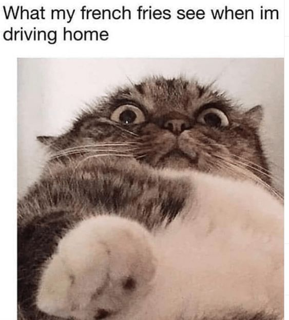 WholesomeMemes tweet media