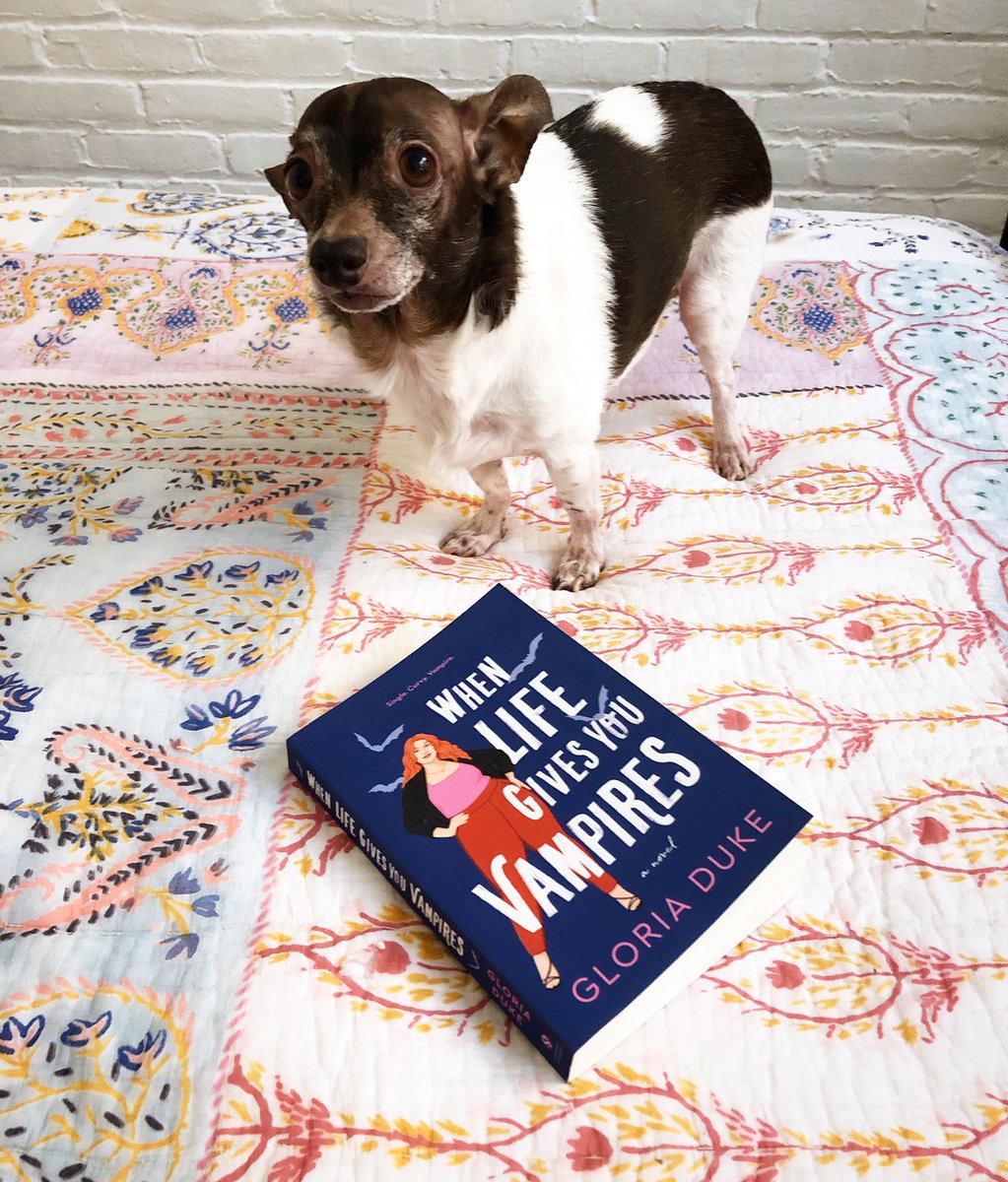 gloriadukehea's tweet photo. Rocky wants you to read When Life Gives You Vampires. He really really does. @SourcebooksCasa #vampirelit #romcom https://t.co/UXv3RKuvHW
