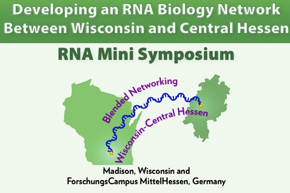 Looking for to our upcoming RNA Biology Network Symposium here at UW-Madison on Nov. 29 with special guests from @RTG2355 and @BiochemieJ! Thanks to @UWBiochem @BMC_UW @UWMadisonCALS @uwsmph and @UWInternational for support and help!