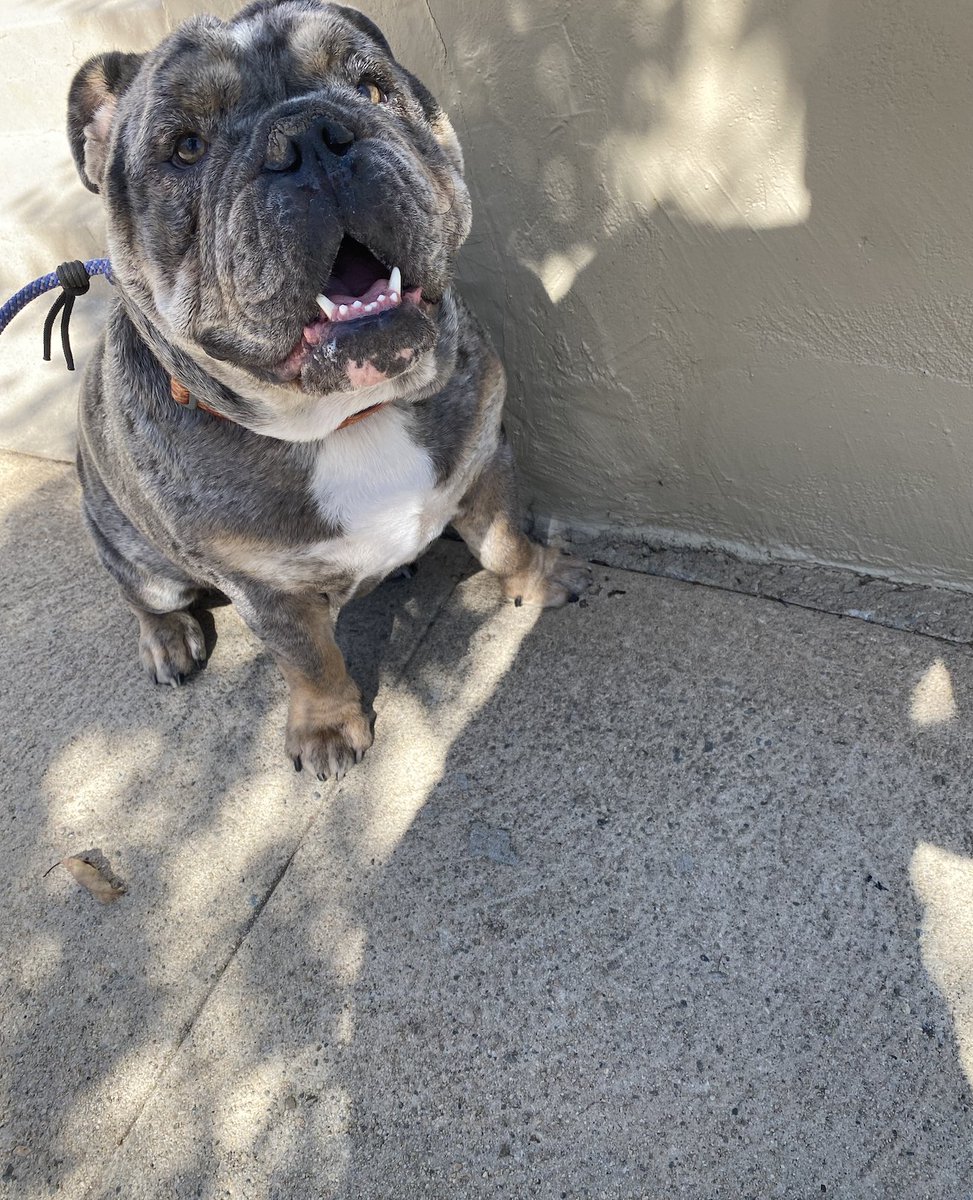 Update on Gary: Head, large. Bod, plump. Personality, enchanting. 📸: Ruby Trohman (Age 8)