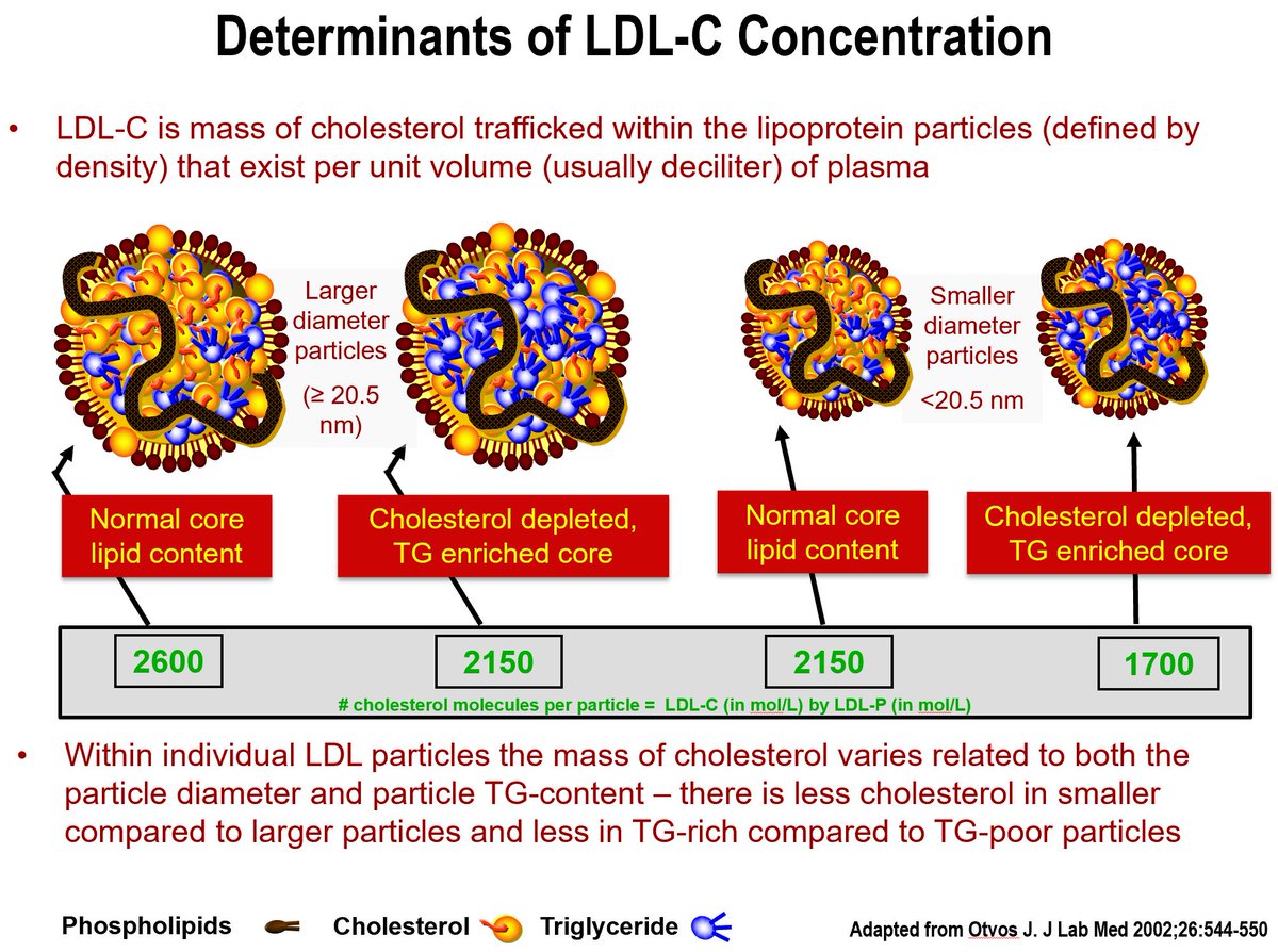 Thomas dayspring on twitter important lipoprotein subclasses vldls