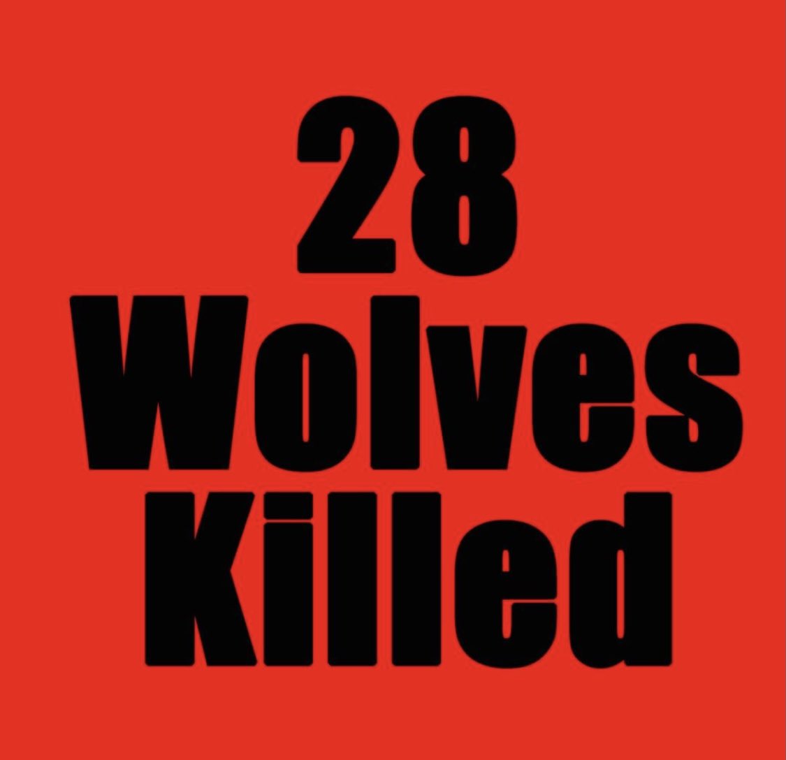 Dr. Lynn Schmidt tweet media