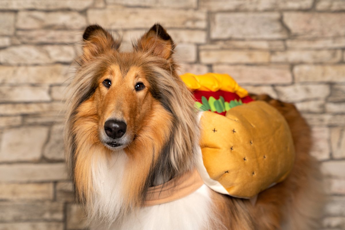 Reveille X tweet media