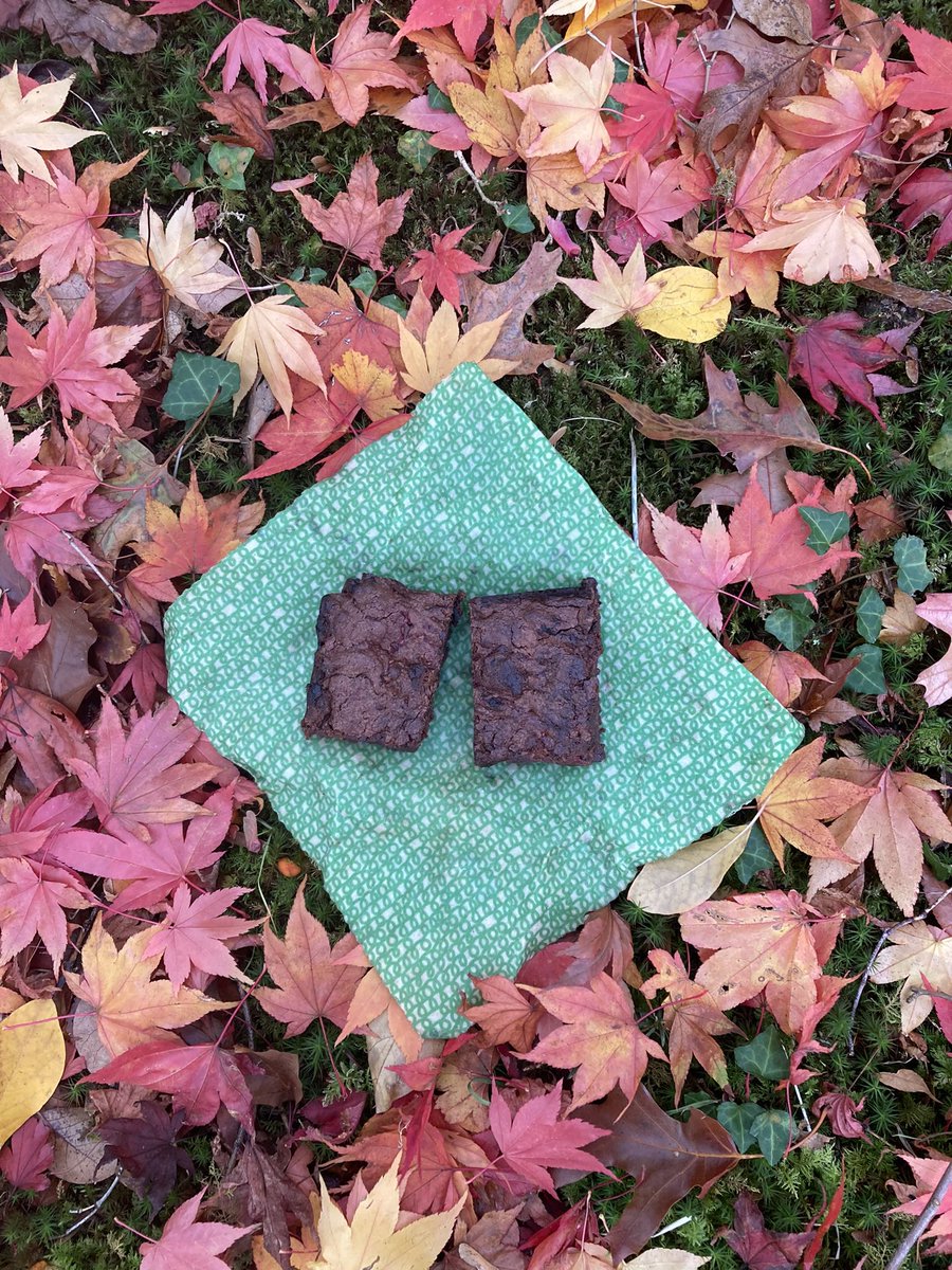 Nature is amazing, especially at this time of year #NWalesHour