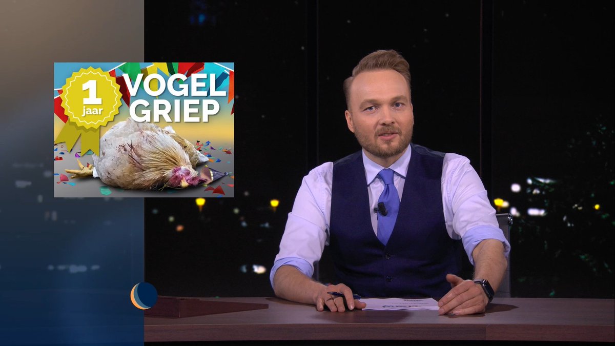 Al een jaar is het aanwezig in ons land: vogelgriep. Hierdoor zitten veel kippen en ander pluimvee al lange tijd verplicht binnen. En inmiddels zijn er al 5,8 miljoen dieren geruimd. Kijk De #Avondshow op YouTube: youtu.be/46gngrBh5N8