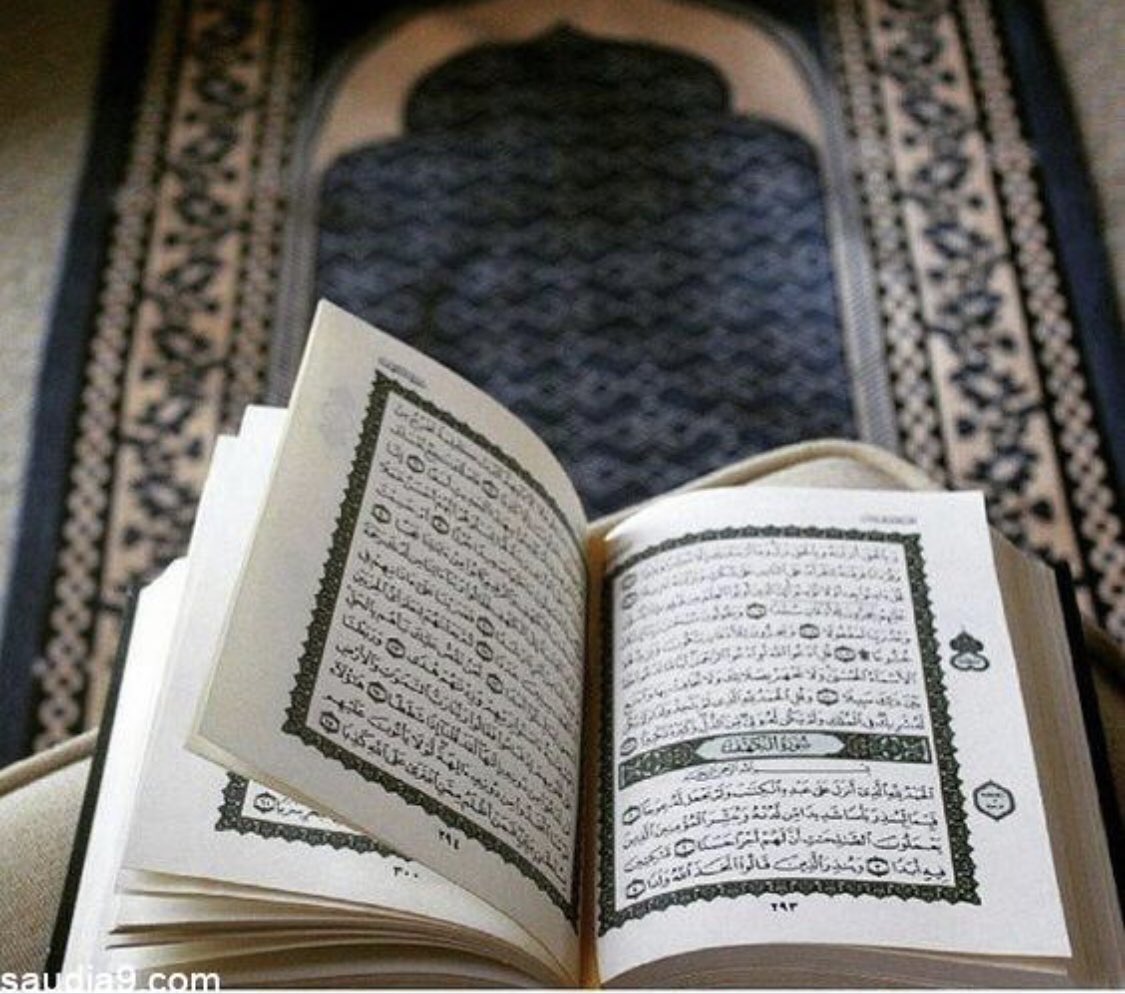 alshamary_hanan's tweet photo. كل الأشياء إذا تركتها ذبلت 
إلا القرآن إذا تركته ذبلت أنت .. أجعل القرآن صديقك
الدائم . اللهم أرزقنا تدبره  والعمل بما فيه وحفظه . https://t.co/TCqdhzIOkp