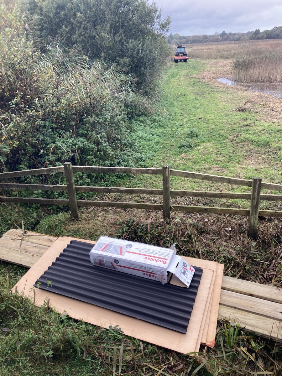 BirdWatchIE's tweet photo. Our brilliant East Coast Nature Reserve volunteers have been working on our Woodland Hide mending the roof and replacing the stairs. It would not be possible without the @WatersProgramme #LAWPROfund. Here's hoping for some dry weather so we can crack on with the work! ⛅️🦆 https://t.co/9V7i8HSRiz