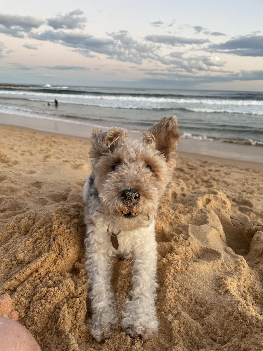 》Agnė《 tweet media