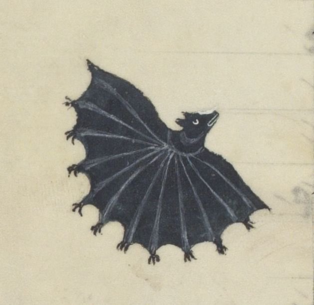 DamienKempf's tweet image. 