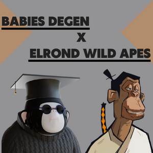 Hello Degens, we're thrilled to announce that our community will work starting today with <a href="/ElrondWildApes/">ELROND WILD APEs | PRESALE MINT 26 NOV</a>!
More passive income, more community, more #EGLD 

You can check our guys and their plans here:discord.gg/yBNVzdPmqc

Interact with this post and win 0.3 EGLD

#ElrondNFTs