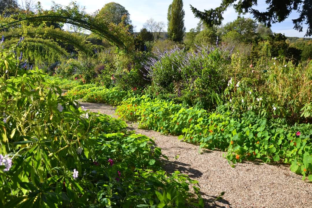 FondationMonet's tweet photo. J-4 avant la fermeture hivernale de la maison et des jardins de Claude Monet ! Venez profiter, sous une météo clémente, des couleurs flamboyantes des feuillages automnaux, des audacieuses capucines rampantes ou encore de nos dahlias aux mille nuances... #claudemonet #giverny https://t.co/PKKrWWUiDP