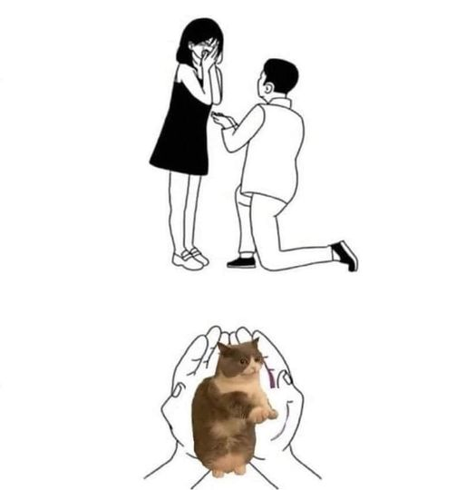 WholesomeMemes (@wholesomememe) on Twitter photo 