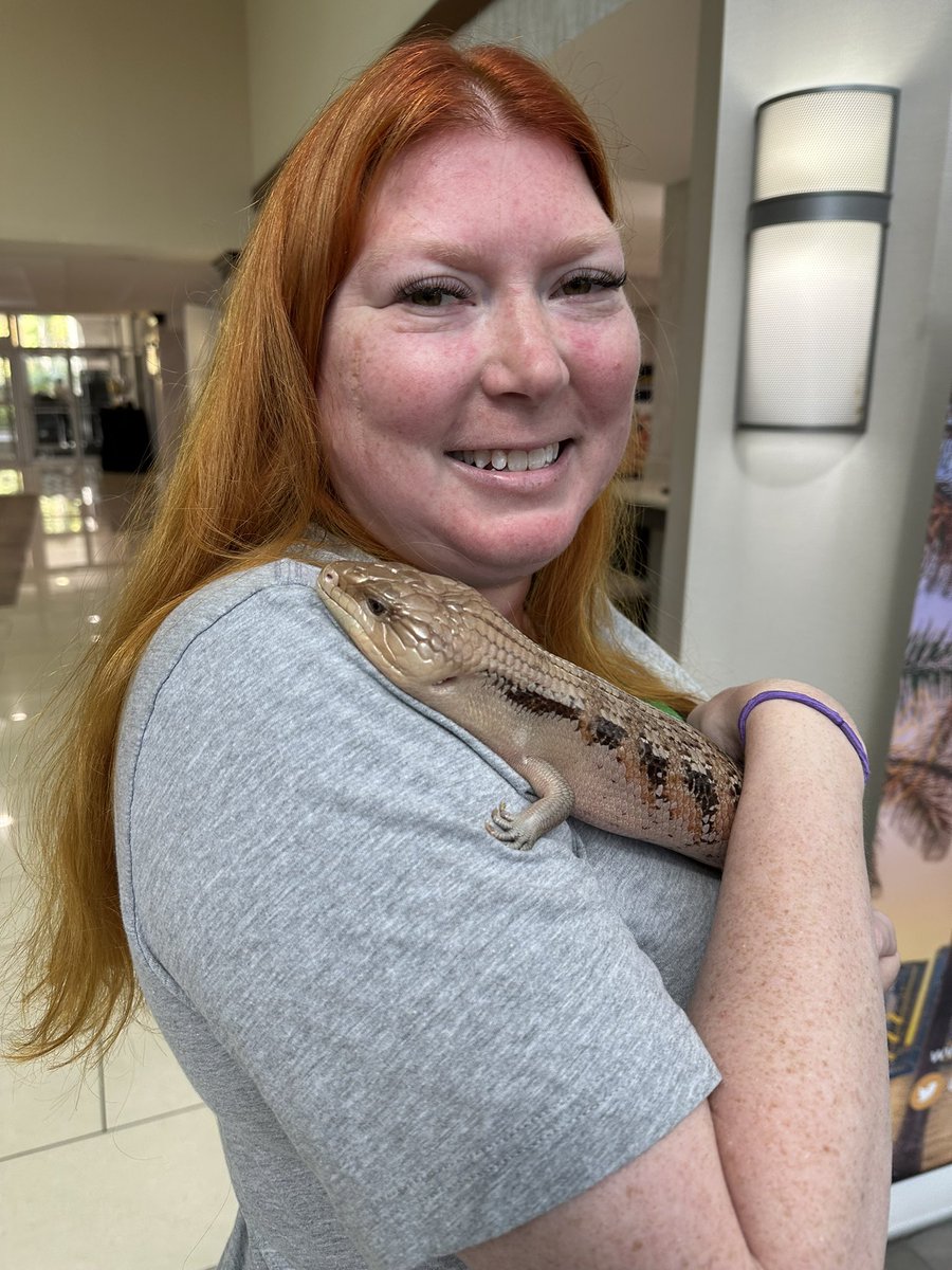 Red_Force5's tweet photo. Just making new friends (Willie, Tillie, and Mango) at @dreamin_florida. I think @salesforce needs a gator mascot…#iloveanimals #missedmycalling #salesforce #AnimalForce https://t.co/JNv8Y15wBV