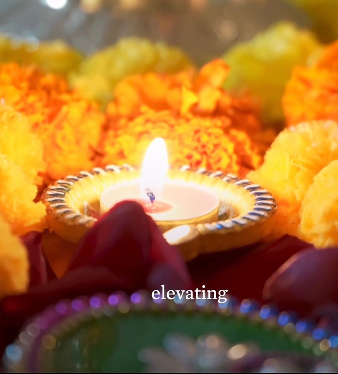 🧡💛 
Celebrate the light…
#diwali 
#thevannologue 
#vannologuevision
