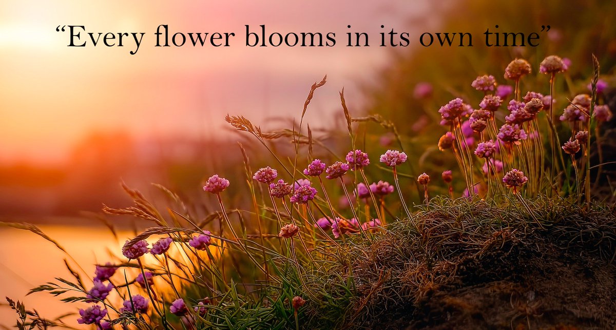 “Every flower blooms in its own time.” #quote
