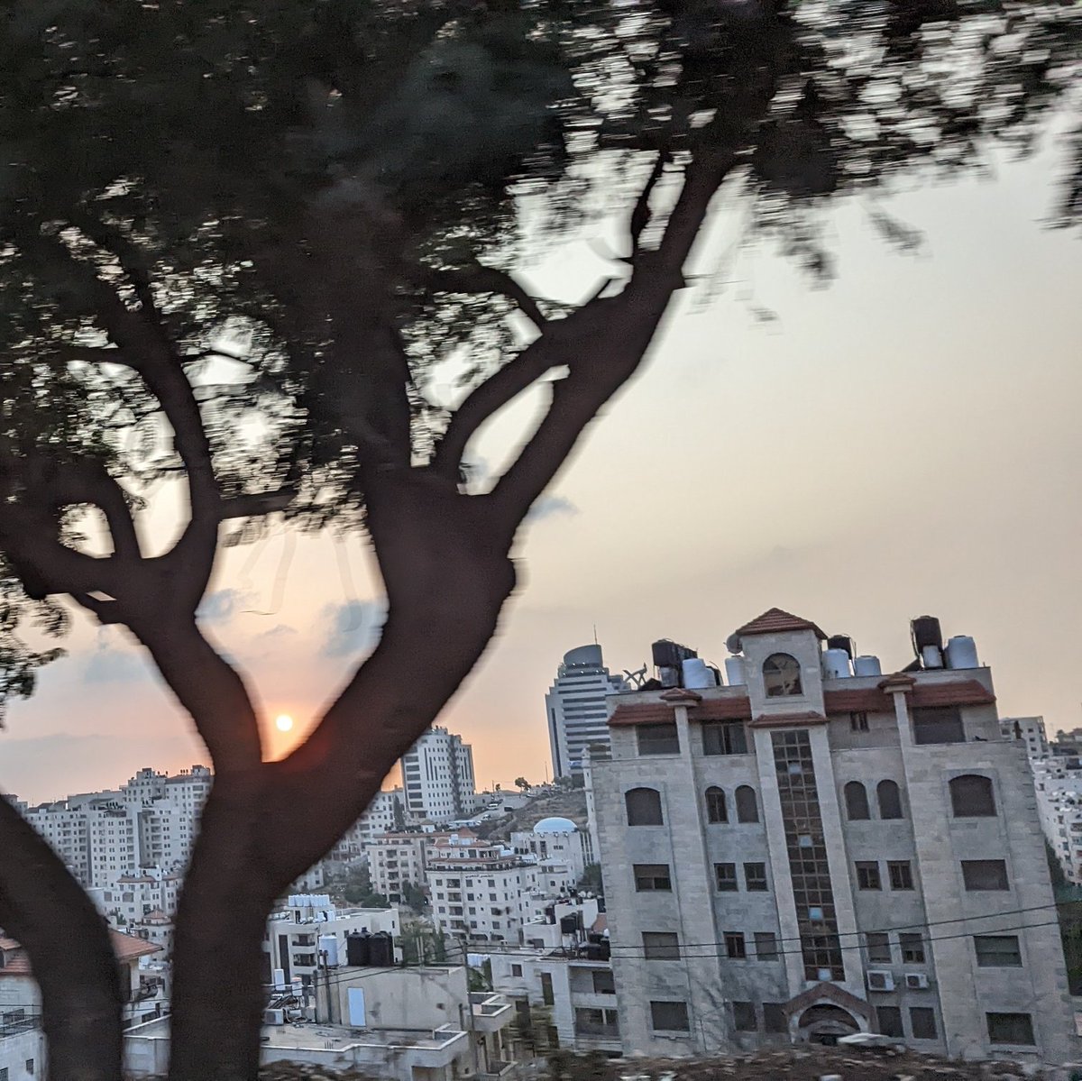 Thursday evening rush hour in #Ramallah, with a gorgeous sunset.