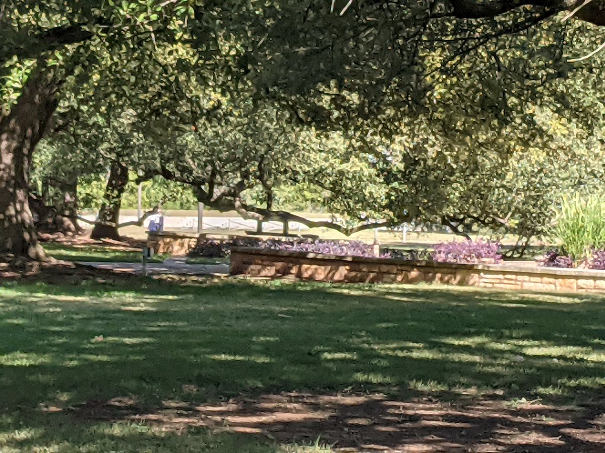 fertbottom's tweet image. Pretty day in #SWATX  to #VOTE 🤗☑️ audacy.com/mix947/latest/…. @Mix947Austin