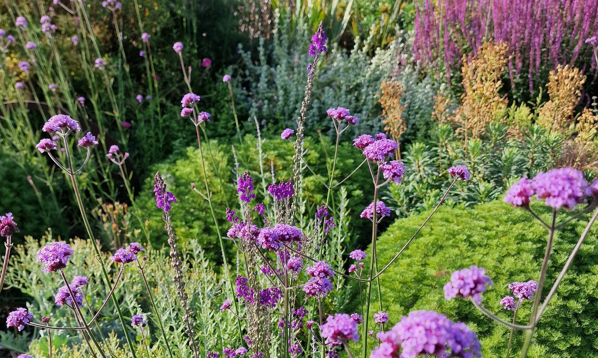 MLaurenceDesign's tweet image. Creating gardens and landscapes as living ecosystems, not just amenity planting.  How we combat climate change, by looking after soils, water infiltration, enhancing mycorrhizae.

#gardenecosystems #ecosystemdesign #adaptiveplanting #soil #gardendesign 

marklaurence.com/wp/creating-ga…