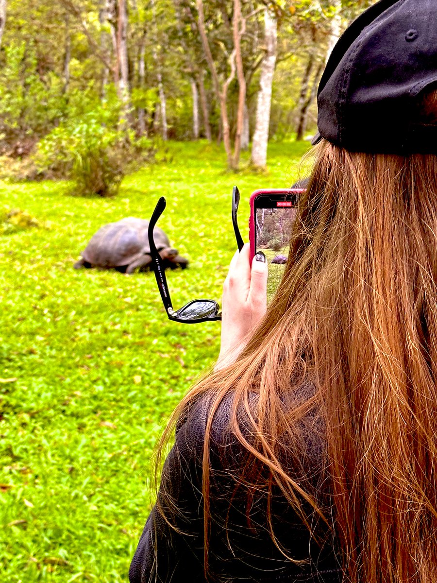 karengillan's tweet photo. It’s a pair of Ponds in The Galapagos @RattyBurvil 🐢 🐢 https://t.co/f0kxpBm7Qk