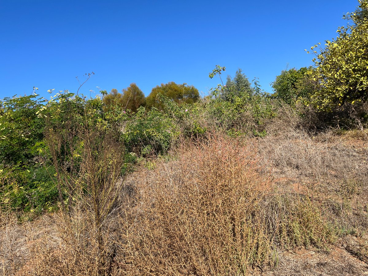 FUESD Environmental Education Program tweet media