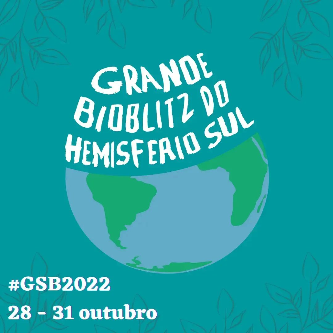 GSB América do Sul tweet media