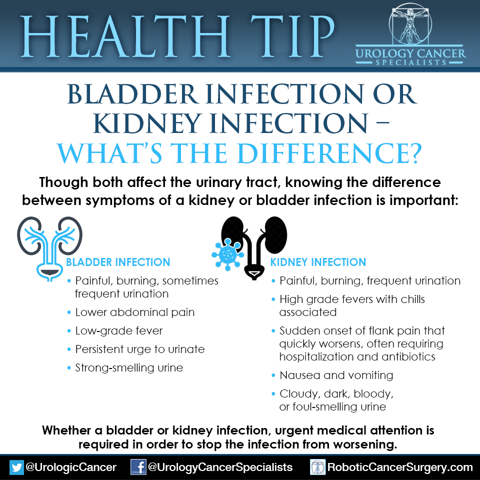 #BladderInfection or #KidneyInfection – what’s the difference? Tips here: