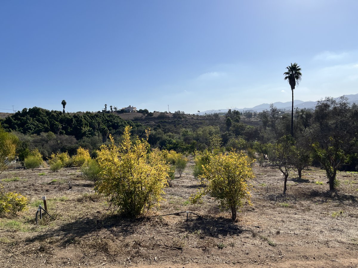 FUESD Environmental Education Program tweet media