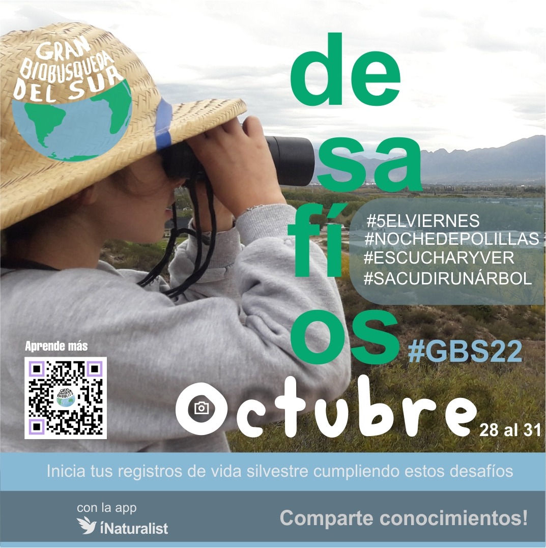 GSB América do Sul tweet media