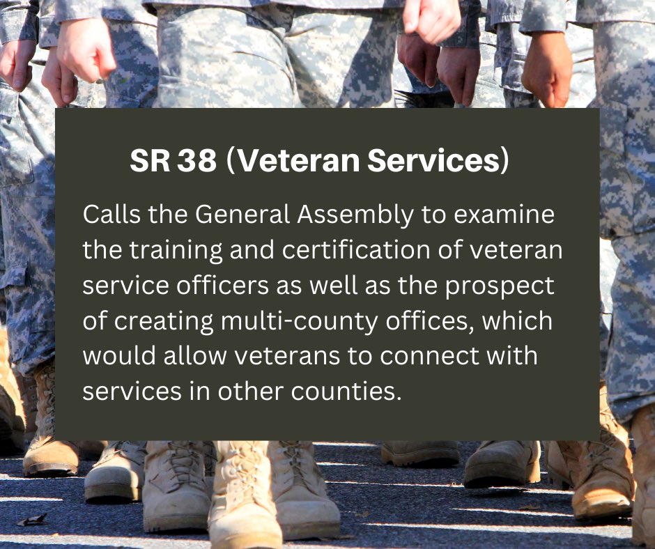So many veterans serve faithfully and selflessly and return to a lack of support and services. I co-authored SR 38, which aims to address the gaps in service for veterans and ensure that anyone who has honorably served has the resources they need to thrive in Indiana.