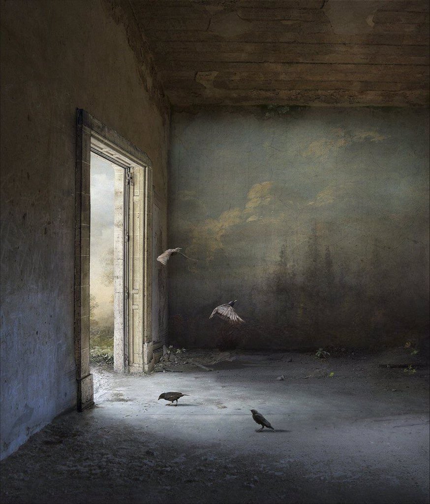 HossainNilofar's tweet photo. “I find hope in the darkest of days, and focus in the brightest. I do not judge the universe.”

― Dalai Lama

© Suzanne Moxhay https://t.co/V8PFzN6r3f