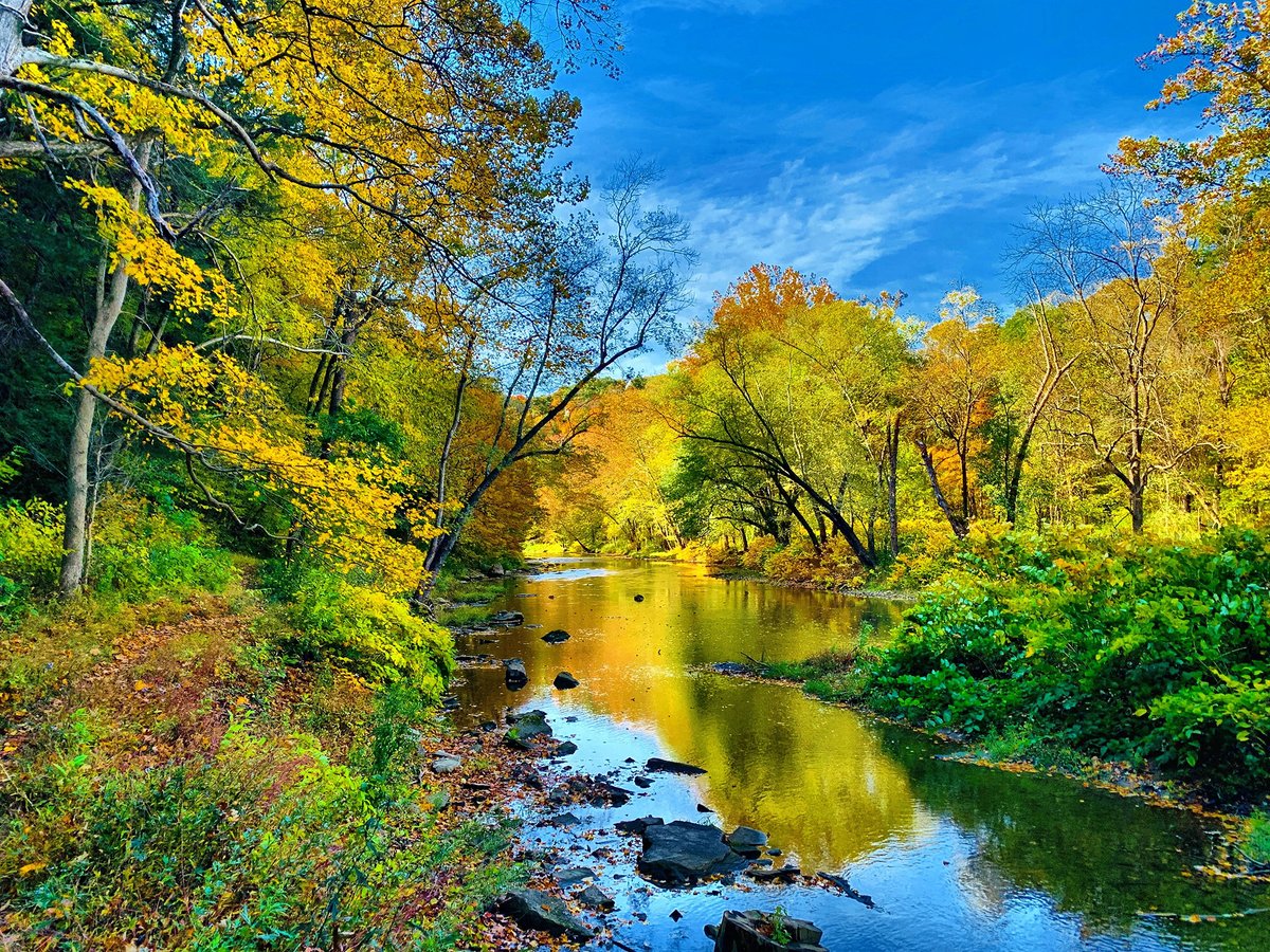 OHStateParks's tweet photo. Fall color reflections π Beaver Creek State Park had quite a showy display along the water last week. WOW! πΈ: Kathleen Clink
#ohiostateparks #beavercreekstatepark #beavercreek #fallcolor #fall #OhioFall22 #nature https://t.co/ogfGni9pXd