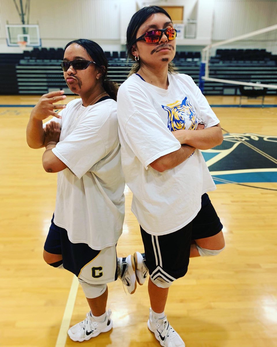 Lamar CC Volleyball tweet media