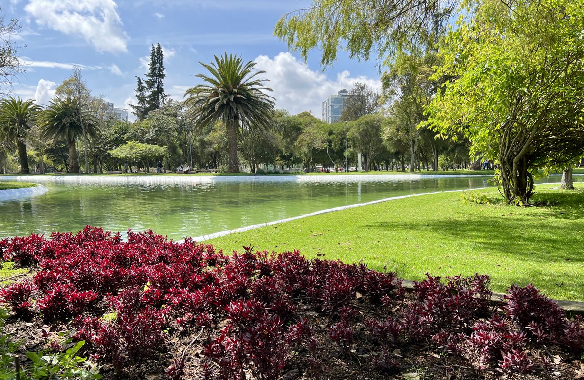 Se llama Parque La Carolina por una antigua hacienda colonial y ocupa solo parte de lo que fue la Laguna de Iñaquito. Antiguos cronistas dicen también que en este lugar Huayna Cápac mandó a construir dos lagunas que en el siglo XIX se secaron 💙 #Quito