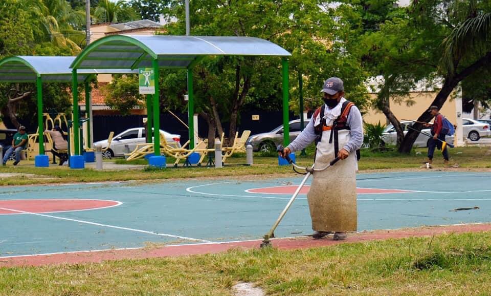 AytoCancun's tweet photo. Nuestras #BrigadasPorCancún realizan limpieza general del 📍Parque de la calle Ciprés #SM43.🧹

#ReportaYAporta vía WhastApp al 📲9988448035.

Sigamos manteniendo un #CancúnLimpio.✅

@anapatyp 
#CancúnNosUne https://t.co/B89g4bRgFo