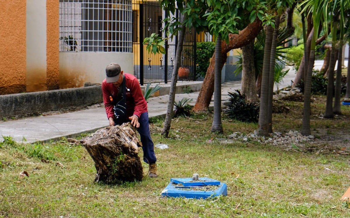 AytoCancun's tweet photo. Nuestras #BrigadasPorCancún realizan limpieza general del 📍Parque de la calle Ciprés #SM43.🧹

#ReportaYAporta vía WhastApp al 📲9988448035.

Sigamos manteniendo un #CancúnLimpio.✅

@anapatyp 
#CancúnNosUne https://t.co/B89g4bRgFo