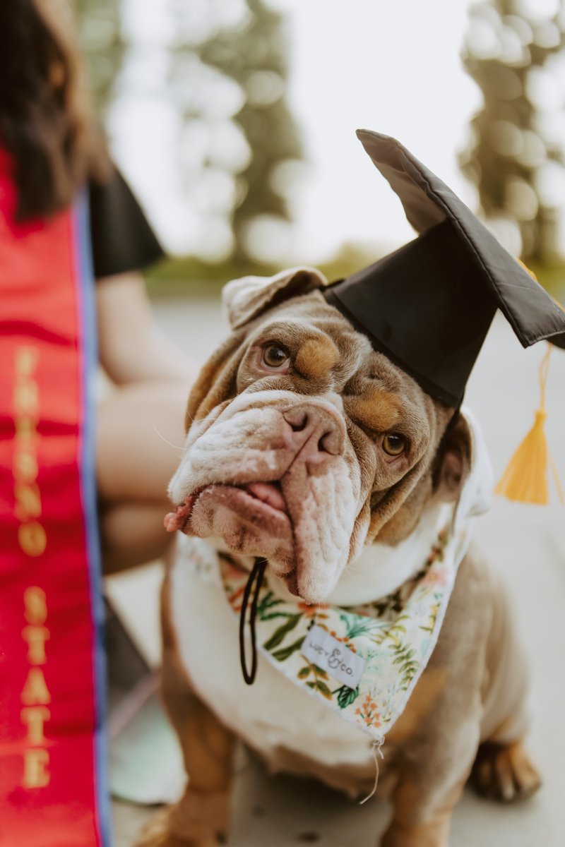 Office of IDEAS tweet media