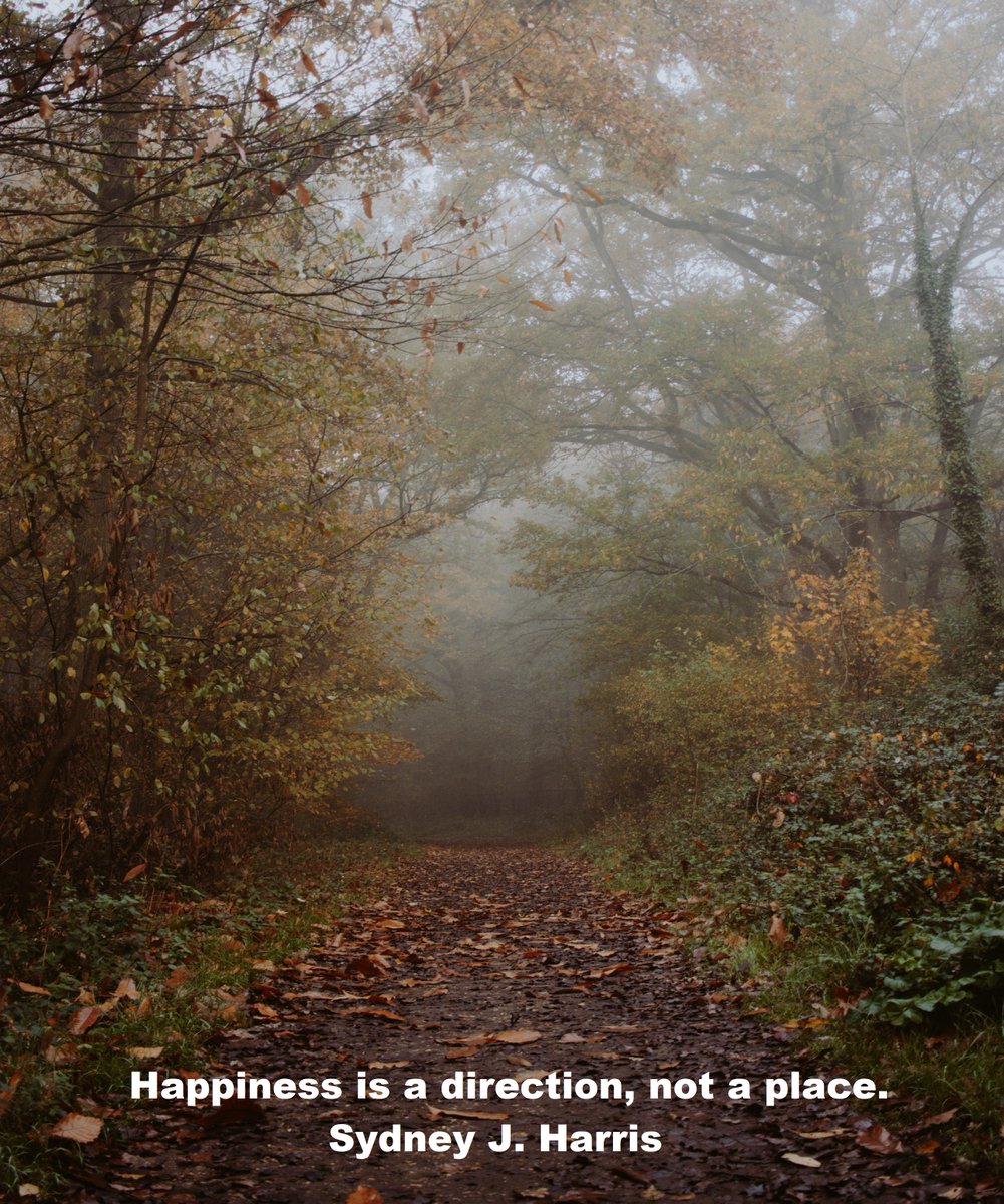 Calmingcompass's tweet photo. Quote of the day - "Happiness is a direction, not a place." -  Sydney J. Harris https://t.co/idr6rkxXEF