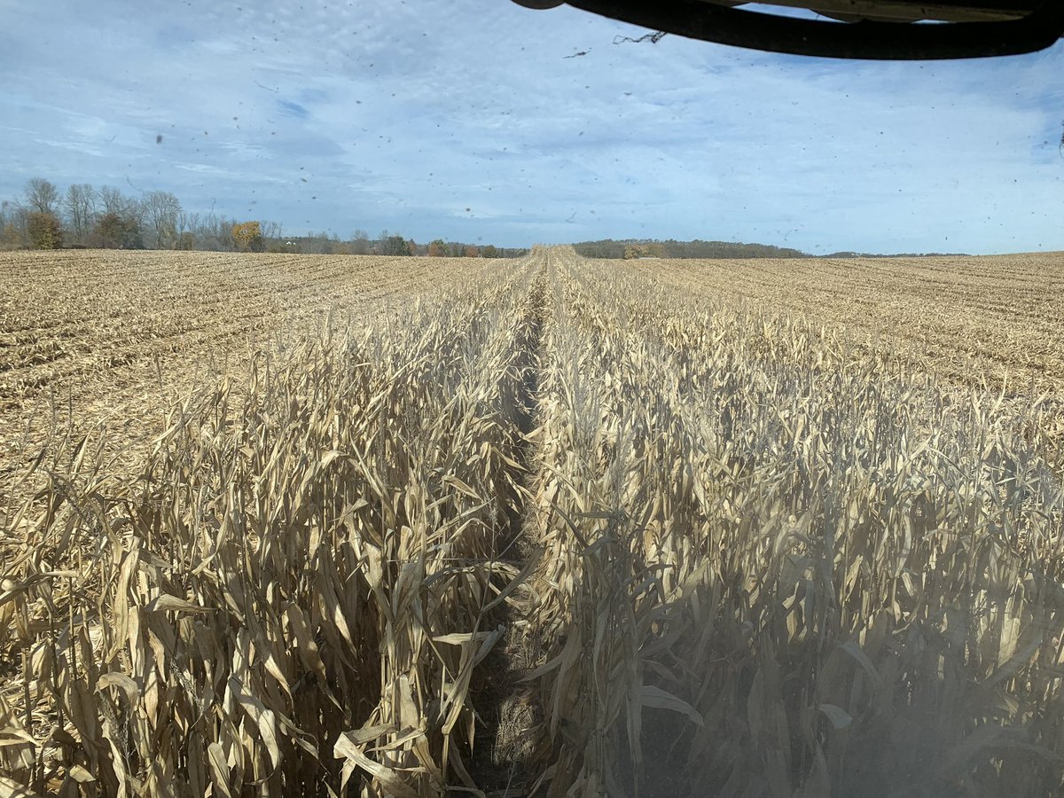 farmerlefty's tweet image. Had a 7.9 Bu increase by using some @TimacAgroCanada Duomax blended with our dry starter. Thanks @GuravaiahPalap1 and @tco_trenton for the help.