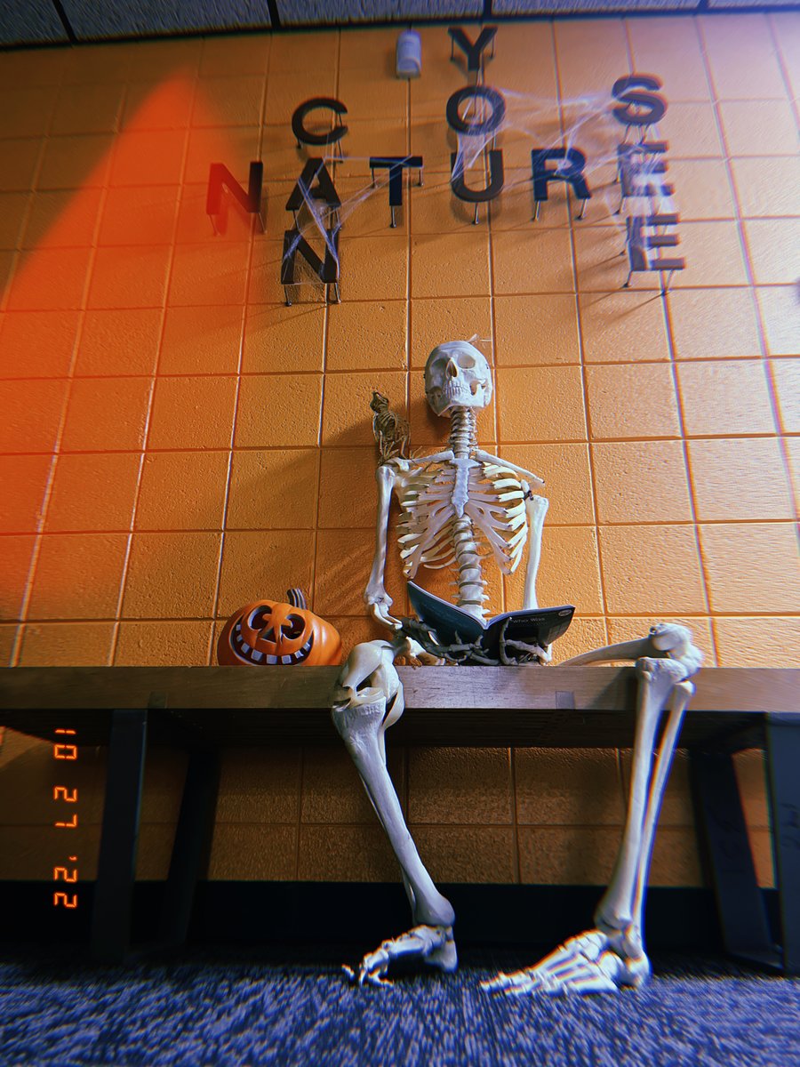 Horizons Unlimited tweet media