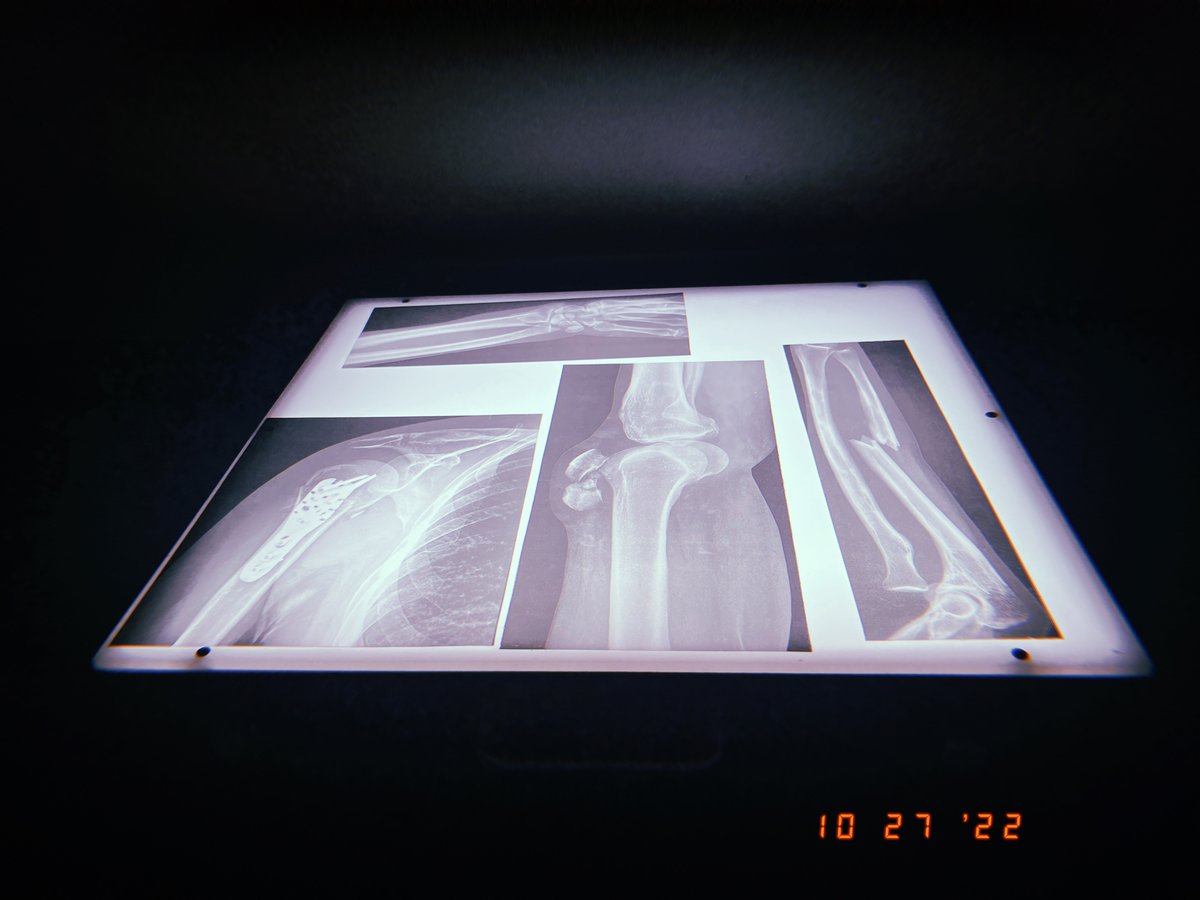 We are only two days away from our Science Spooktacular! 

Enjoy some sneak peaks of our building that will leave you spooked out! Purchase your tickets now at bit.ly/3CXhSVW