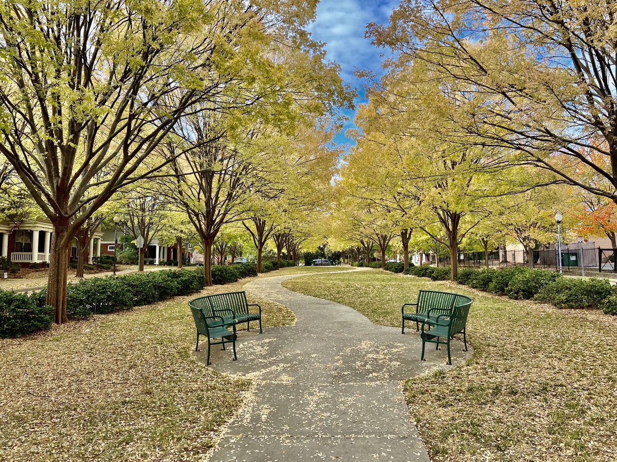 Linear Park in uptown Charlotte is approaching peak fall color. The crunch of the little leaves on the sidewalk highlights the fall experience. Would definitely recommend a stroll. ⁦@wxbrad⁩