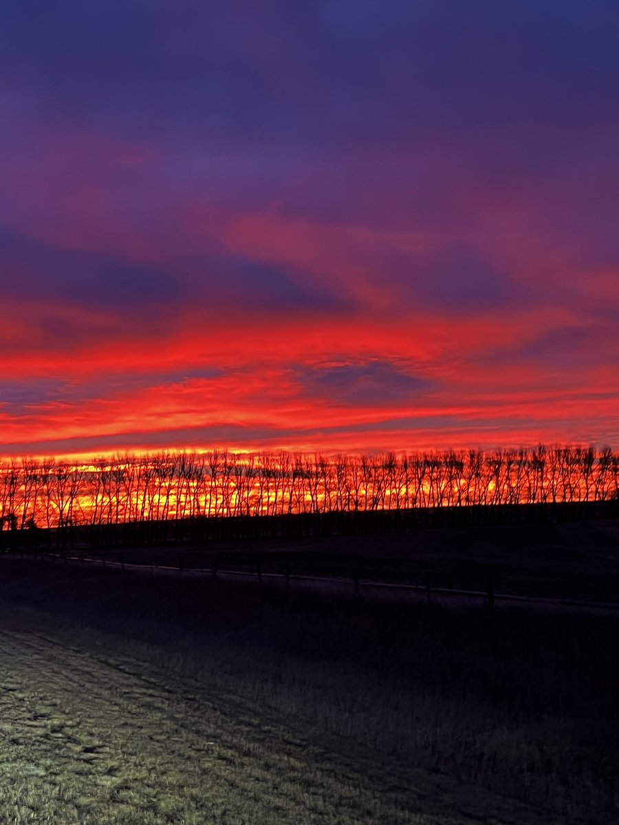 LeightonKolk's tweet photo. Not sure if the wind that comes with these sunrises is appreciated near as much as the beauty of the sky. It looked like the neighbourโs trees were on fire this am. #goodmorningSA #excitedbythecrackofdawn https://t.co/uKrySEg8ad