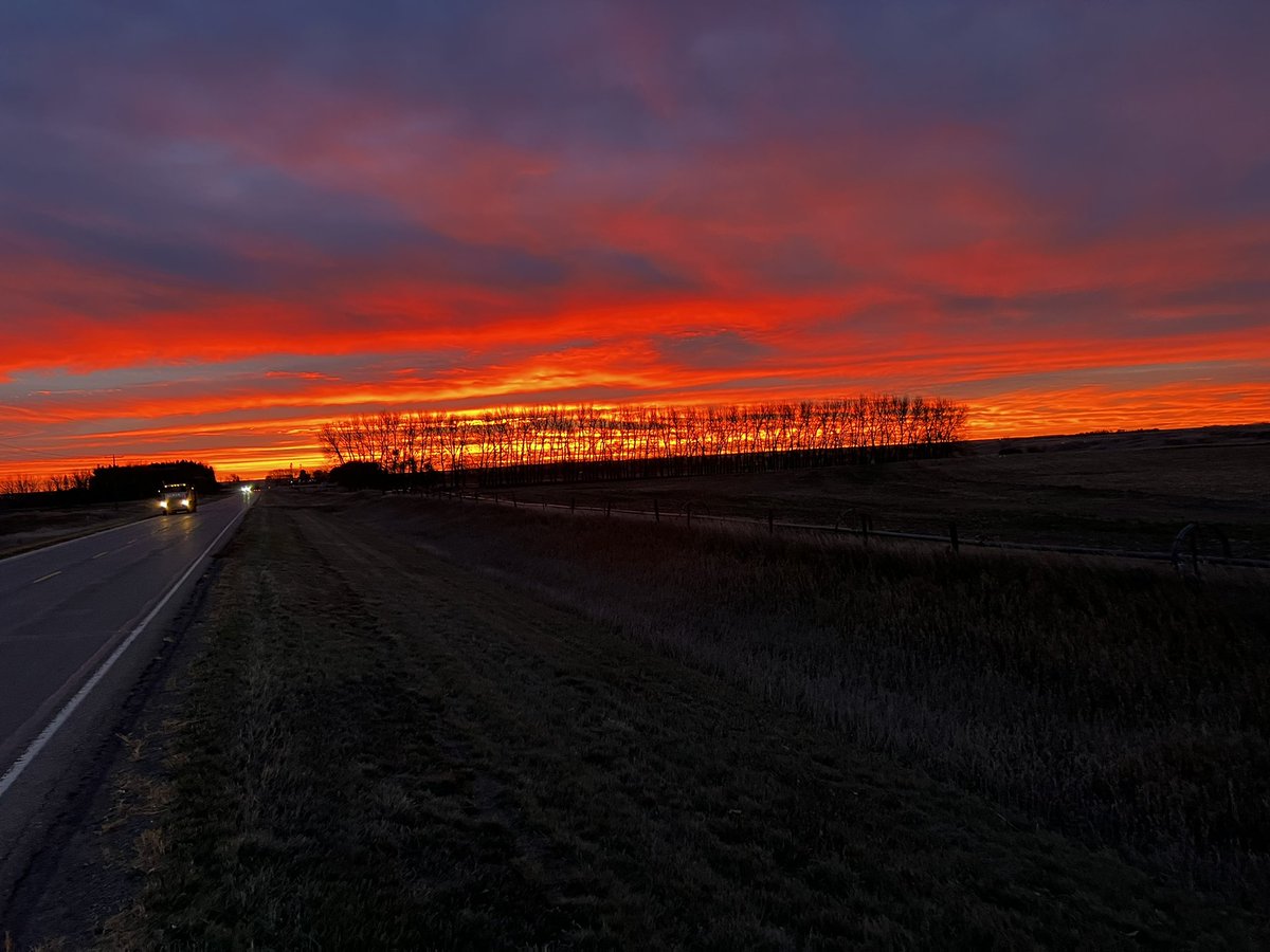 LeightonKolk's tweet photo. Not sure if the wind that comes with these sunrises is appreciated near as much as the beauty of the sky. It looked like the neighbourโs trees were on fire this am. #goodmorningSA #excitedbythecrackofdawn https://t.co/uKrySEg8ad