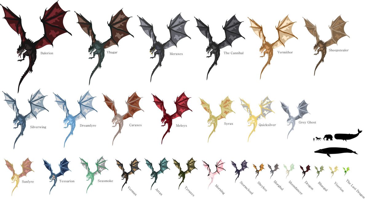 westerosies's tweet image. The Dragons of House Targaryen and their sizes in ASOIAF #HouseOfTheDragon