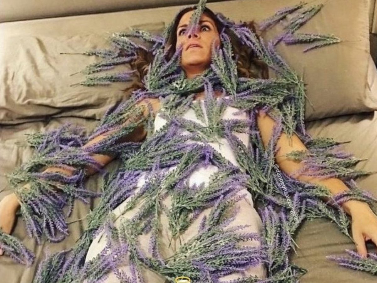 "la lavanda ayuda a reducir los niveles de estrés y ansiedad"

yo: