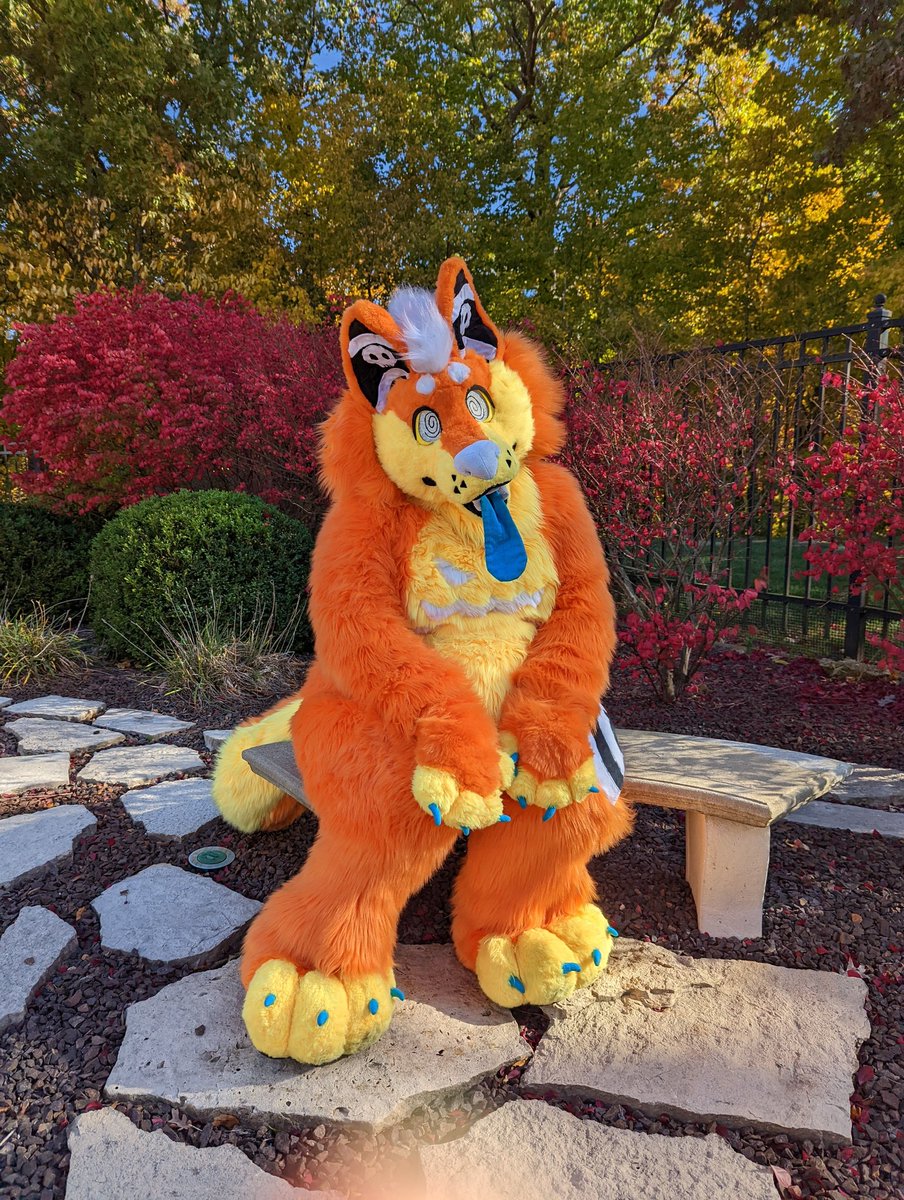 plushgut's tweet photo. wore the boy a while ago!! my gf took some nice pictures of me 🎃 https://t.co/7NEfUSkrkl